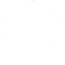 workday-hcm